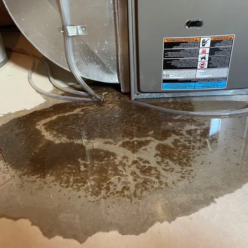 Pipe Burst and Leak Restoration in Fayetteville, NC