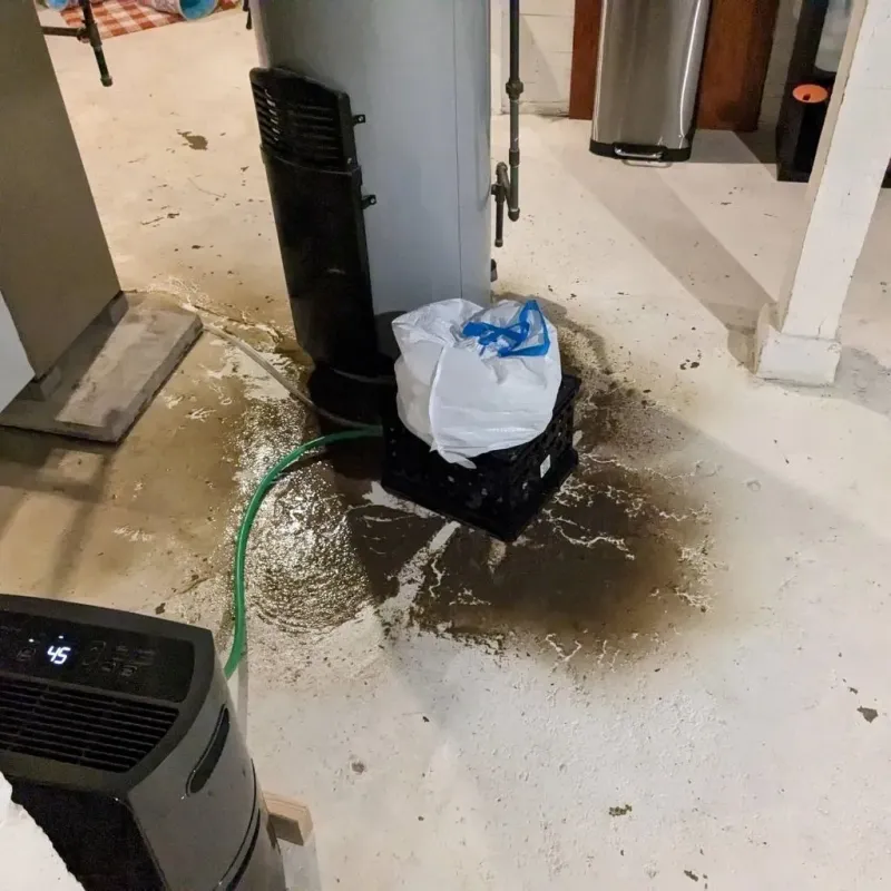 Sewage Backup Cleanup Service in Fayetteville, NC